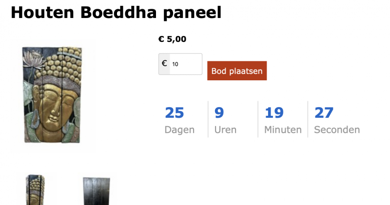 Schermvoorbeeld bod plaatsen