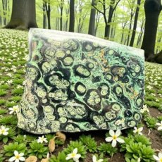 359 Kambaba - Plaat 14,5cm