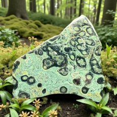 360 Kambaba - Plaat 14,5cm