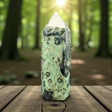 364 Kambaba - Toren 15,5