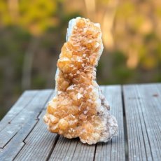 408 Citrien - 20,5cm