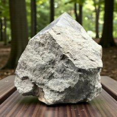 427 Shungiet - power punt 11cm