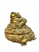 Grenouille Feng Shui 14cm