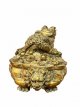 Feng Shui frog 14cm