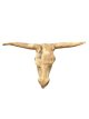 Teak Houten Bison Hoofd Muurhanger – 70 x 40 cm