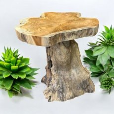 628 Plantenstaander in Teak Root (50 x 50 x 50 cm)