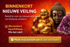 907 Binnenkort nieuwe veiling