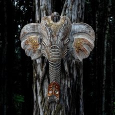 9933 Olifant hoofd muurhanger 40cm