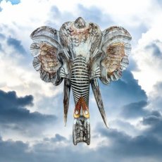 9933 Olifant hoofd muurhanger 60cm