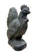 AN07 Coq Debout 47cm