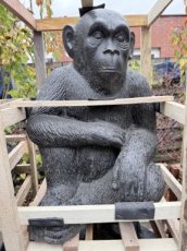 AN21 Zittende aap 60cm