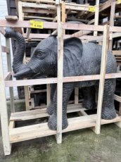 AN28 Olifant Fontein 125cm