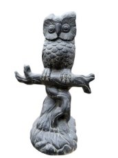 AN32 Uil op tak 50cm