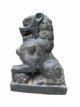 AN42 Set Fu Dogs – Tempel leeuwen 60cm