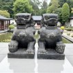 AN42 Set Fu Dogs – Tempel leeuwen 60cm
