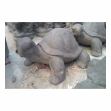 AN73 schildpad 60cm