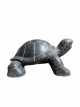 AN73 schildpad 60cm