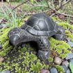 AN73 schildpad 60cm