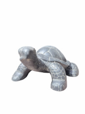 AN73 schildpad 60cm