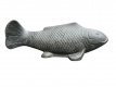 AN77 Vis - Koi 107cm
