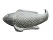 AN77 Vis - Koi 107cm