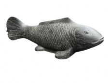 AN77 Vis - Koi 107cm