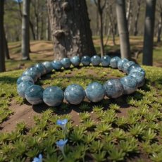 ARM-Apatiet Apatiet - Armband