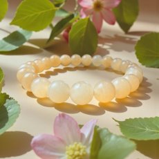 ARM-CAL Calciet - Armband