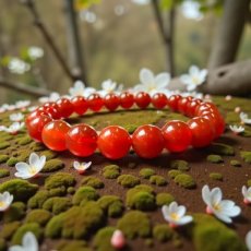 ARM-CARN Carneool - Armband