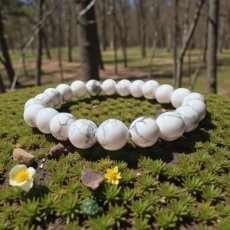 ARM-HOW Howliet - Armband