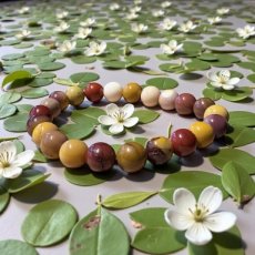 ARM-MOOK Mookaiet - Armband