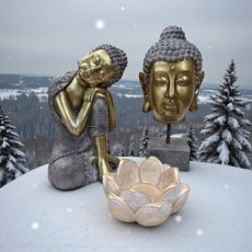 BOX5 Giftset : Harmony set