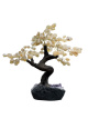 BRA03 Levensboom Citrien – ca. 25 cm