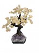 BRA03 Levensboom met Citrien25/30cm