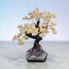 BRA03 Levensboom met Citrien25/30cm