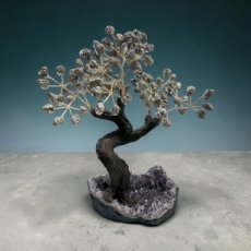BRA03 Levensboom met Pyriet 25/30cm