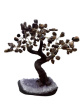 BRA03 Levensboom Tijgeroog – ca. 25 cm