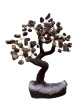 BRA03 Levensboom Tijgeroog – ca. 25 cm