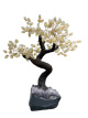 BRA04 Levensboom Citrien – ca. 40 cm