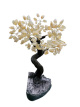 BRA04 Levensboom Citrien – ca. 40 cm