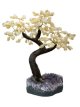 BRA04 Citrine Tree of Life 35/40cm