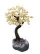BRA04 Citrine Tree of Life 35/40cm