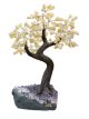 BRA04 Citrine Tree of Life 35/40cm