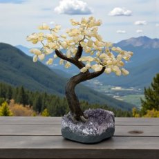 BRA04 Citrine Tree of Life 35/40cm