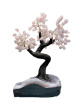 BRA04 Levensboom Rozenkwarts – ca. 40 cm