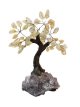 BRA25 L’Arbre de Vie en Citrine 15/20cm