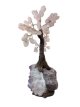 BRA25 L’Arbre de Vie en Quartz Rose