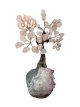 BRA25 L’Arbre de Vie en Quartz Rose