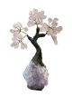 BRA25 L’Arbre de Vie en Quartz Rose