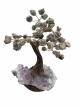 BRA25 Levensboom Pyriet – ca. 20 cm